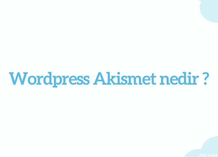 Wordpress Akismet nedir ?